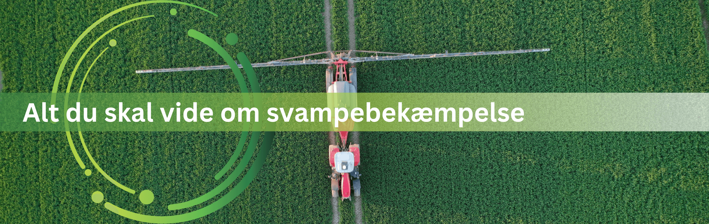 Svampebekæmpelse