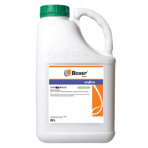 BOXER 800EC packshot