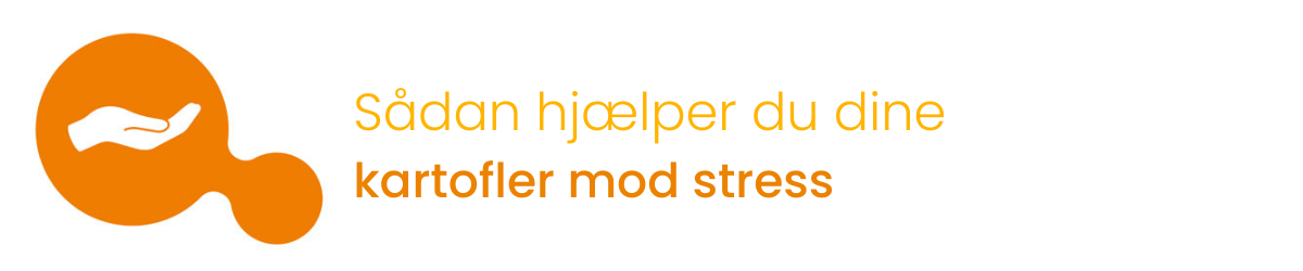 Sådan hjælper du dine kartofler mod stress 