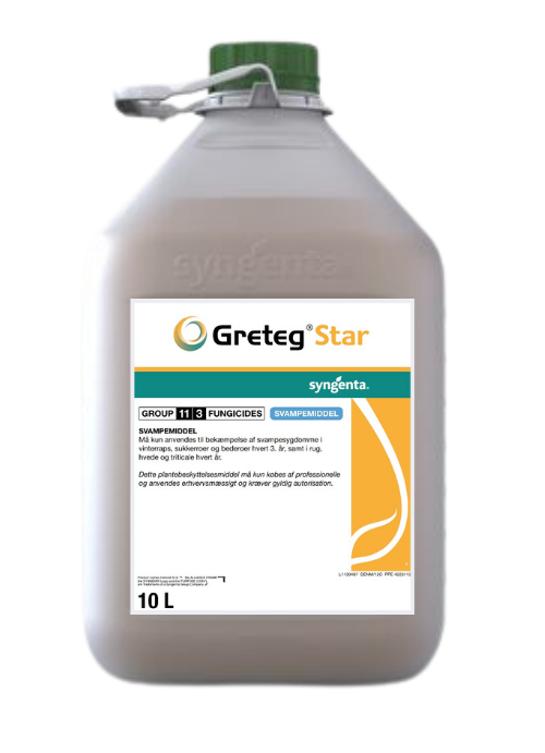 GRETEG Star dunk