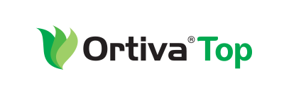 Ortiva top logo