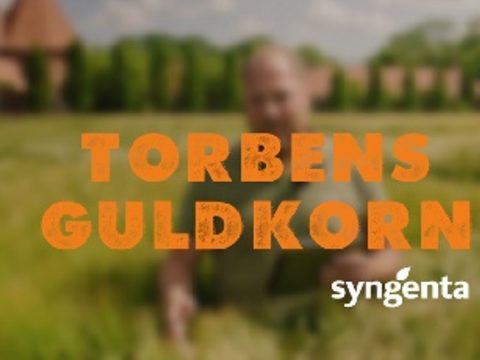 Torbens Guldkorn - Youtube serie om udsæd fra Syngenta