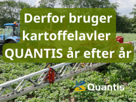 derfor bruger kartoffelavler QUANTIS