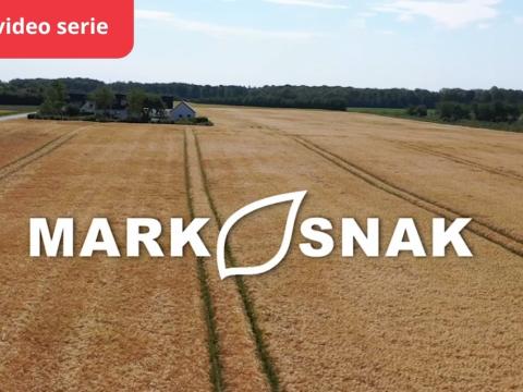 Mark Snak: Konkrete svar og dyrkningstips fra marken gennem hele sæsonen.