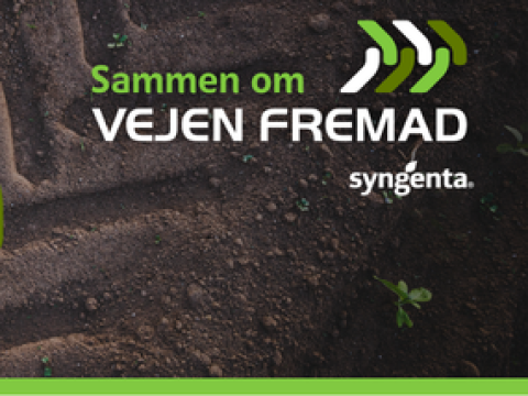 Sammen om Vejen Fremad