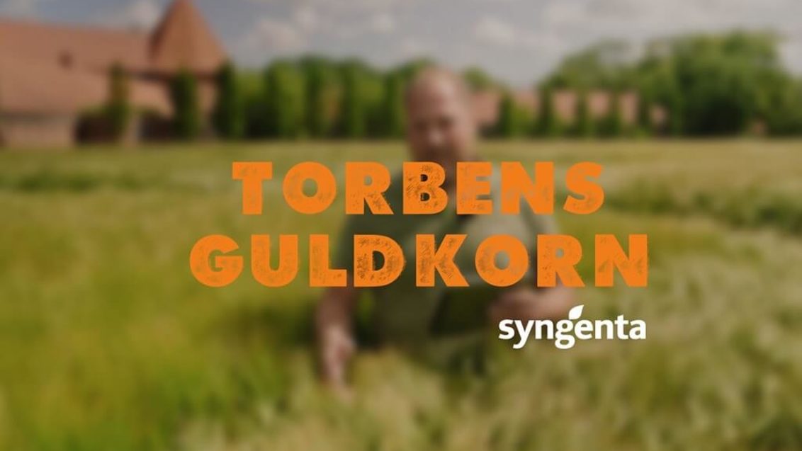Torbens Guldkorn - Youtube serie om udsæd fra Syngenta