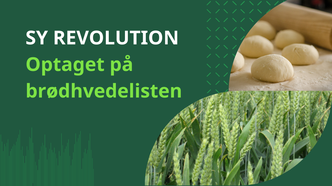 SY REVOLUTION - godkendt til brødhvede