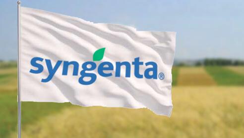 Syngenta flag i en mark