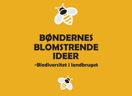Bøndernes Blomstrende Ideer til at fremme biodiversiteten