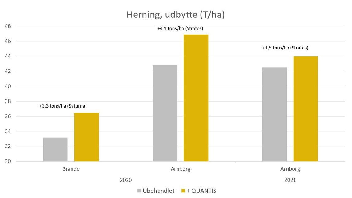 Quantis forsøg i Danmark, Herning udbytte i tons per hektar