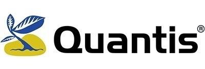 Quantis logo