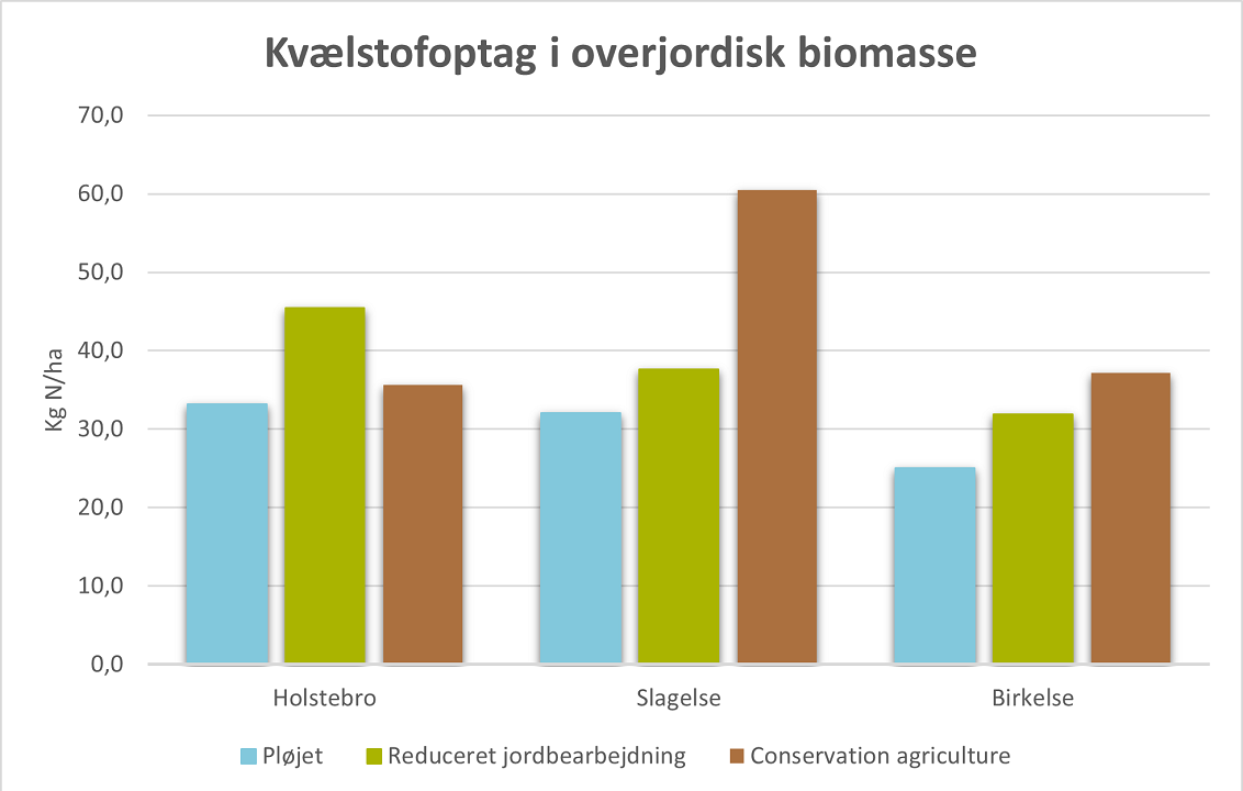 GRObund - Kvælstofoptag i overjordisk biomasse, efterår 2022