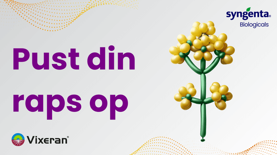 VIXERAN i raps