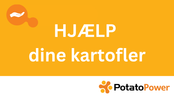 Optimér vækstbetingelser for dine kartofler
