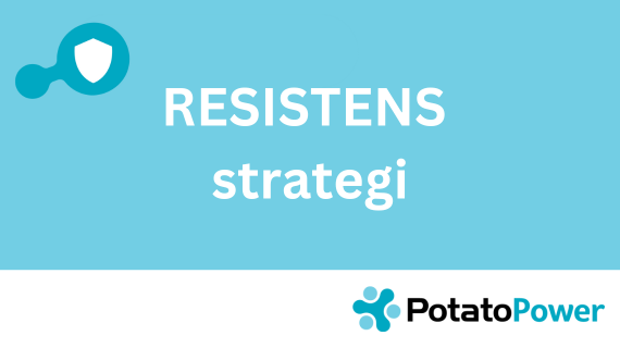 Resistens i kartoffelmarken