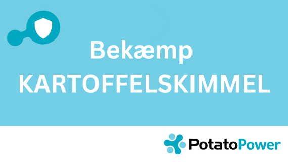 Bekæmp kartoffelskimmel