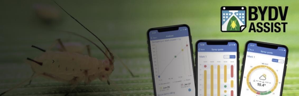 BYDV Assist App