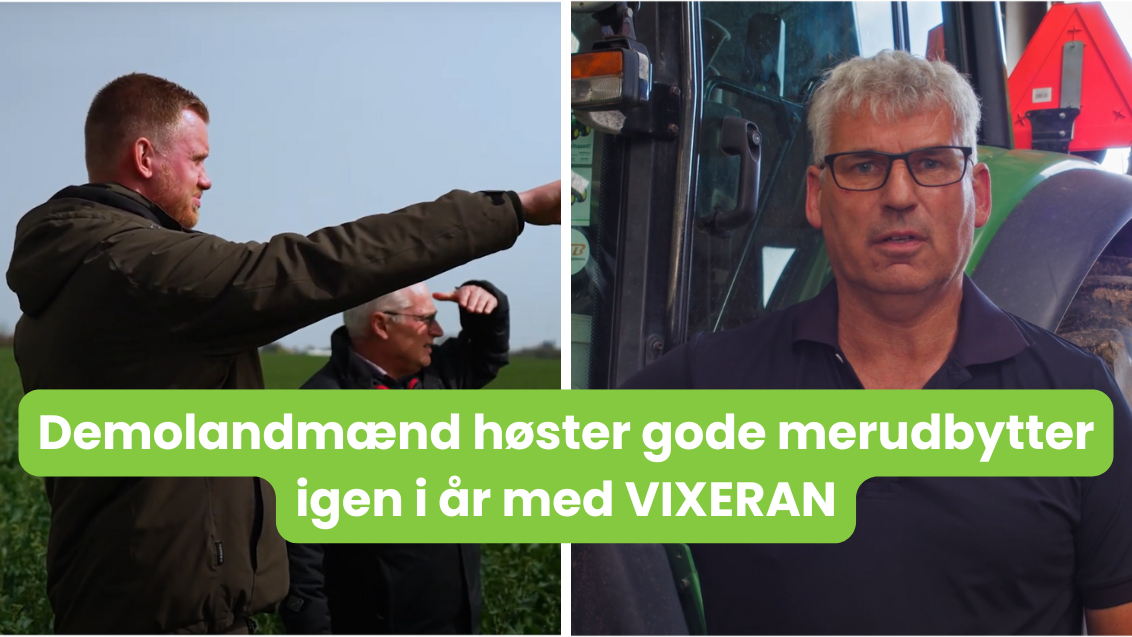 Demolandmænd høster gode merudbytter med VIXERAN i raps