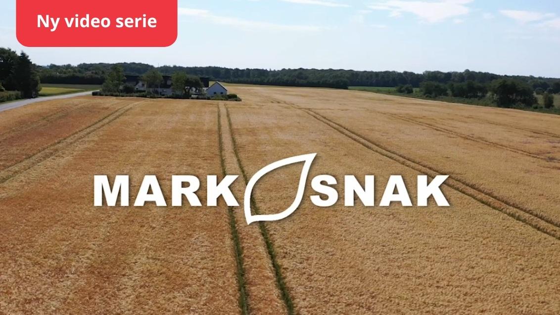 Mark Snak: Konkrete svar og dyrkningstips fra marken gennem hele sæsonen.