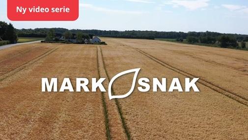 Mark Snak: Konkrete svar og dyrkningstips fra marken gennem hele sæsonen