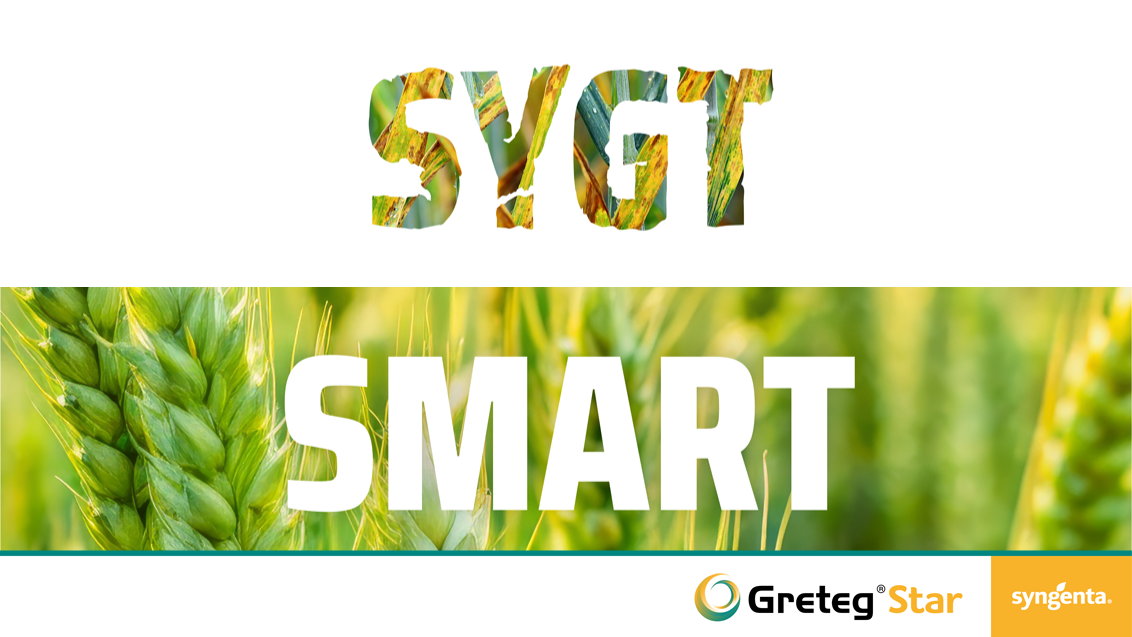 GRETEG Star Banner