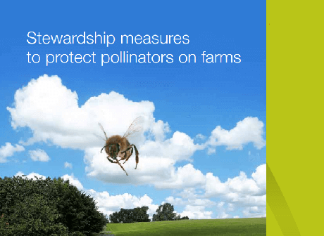 Billede af forsiden på brochuren "Stewardship measures to protect pollinators on farms"