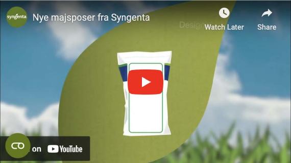 Nye majsposer fra Syngenta