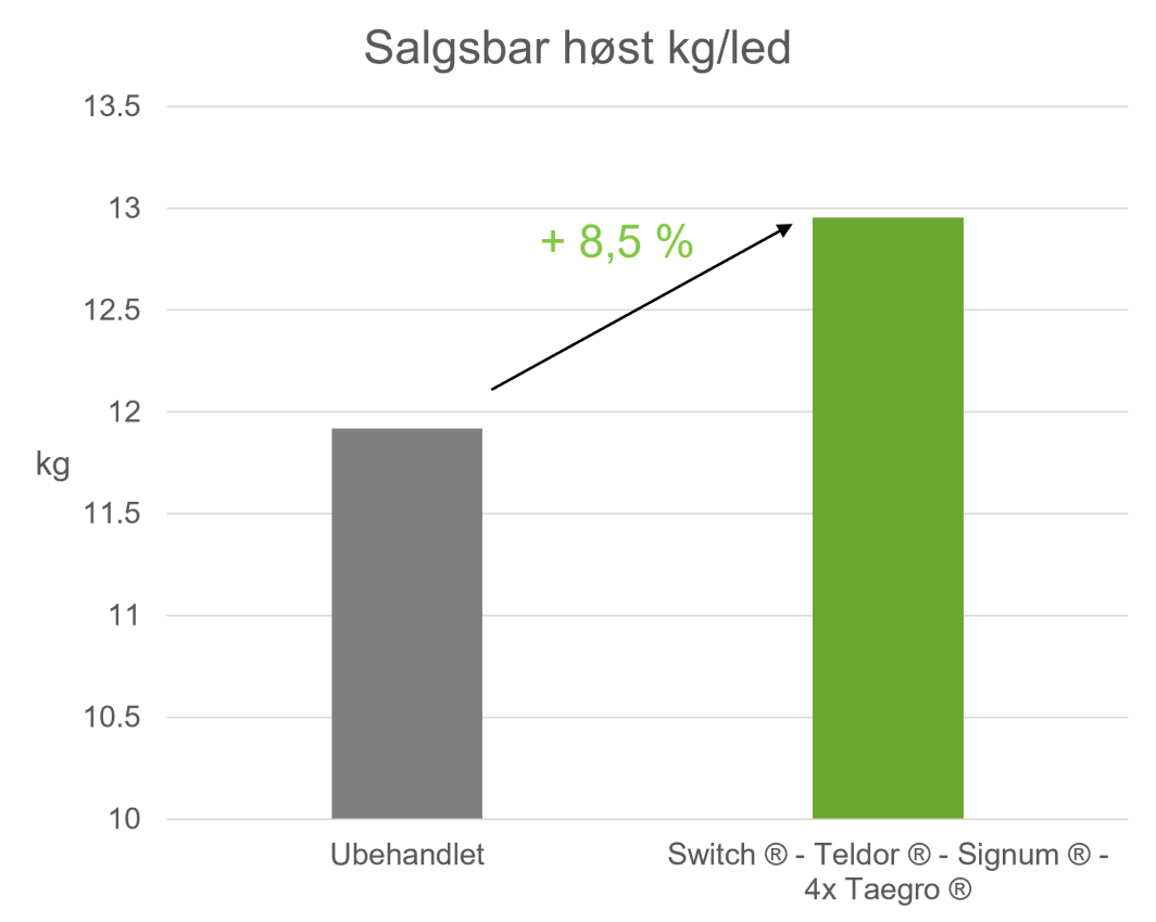 Forsøg og resultater med TAEGRO i jordbær og effekt på salgsbar høst