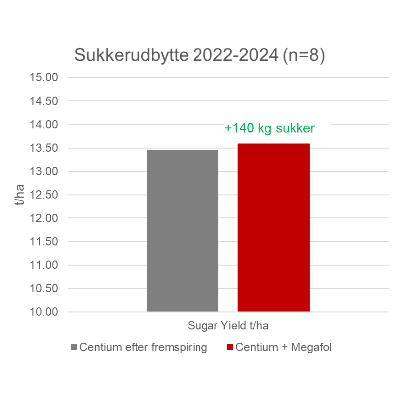 Samlet sukkerudbytte over 3 år