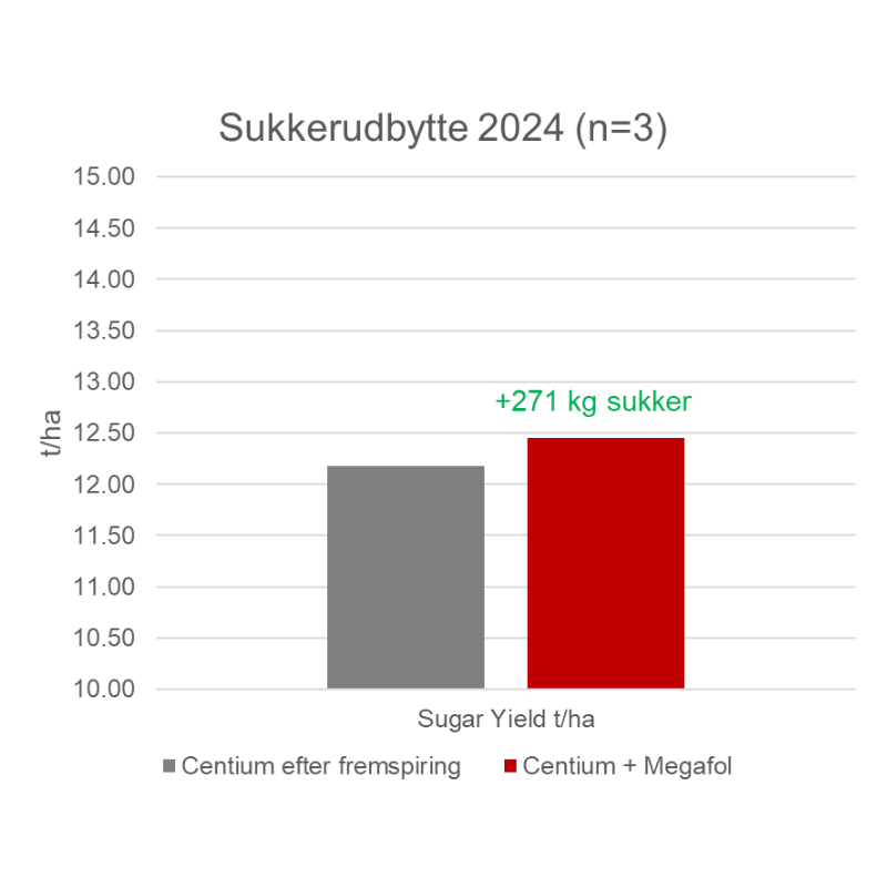 Øget sukkerudbytte i 2024