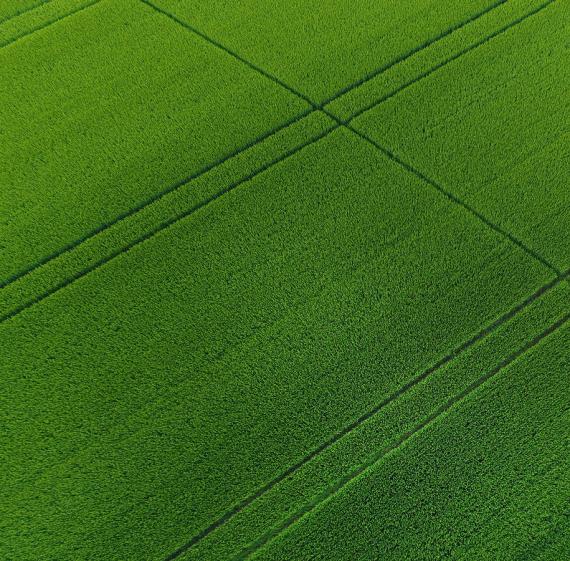 Biologiske løsninger til danske landmænd - læs mere her