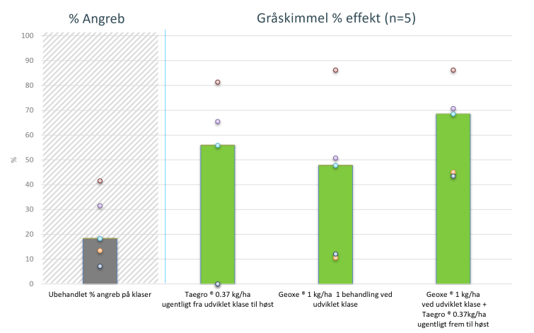 TAEGRO mod gråskimmel i vindruer 