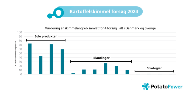 Kartoffelskimmelforsøg 2024