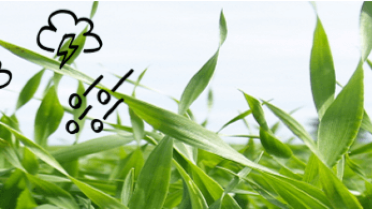 Vækstregulering top banner