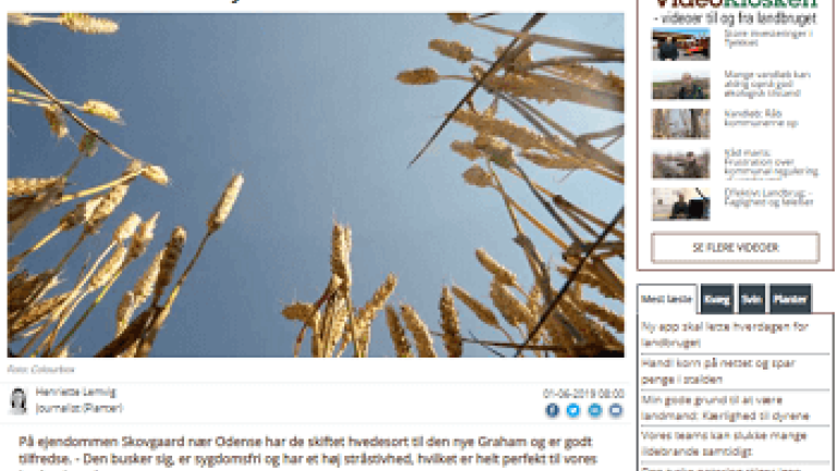 Graham artikel