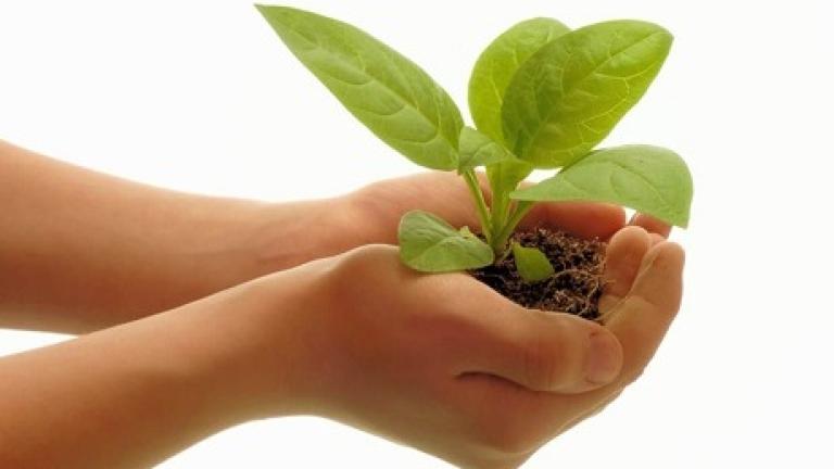 Syngenta karriere