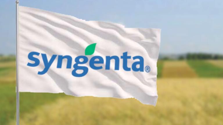Syngenta flag i en mark