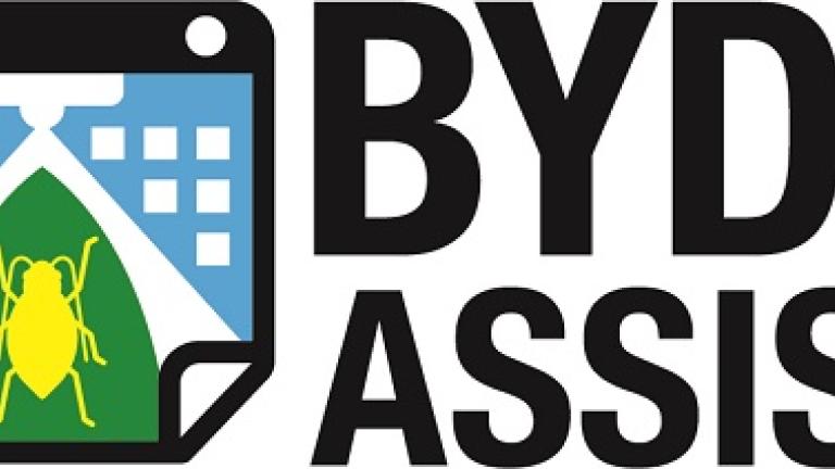 BYDV Assist hjælper dig med at optimere planlægningen af plantebeskyttelse mod havrerødsot og lus gennem lokale vejrdata.