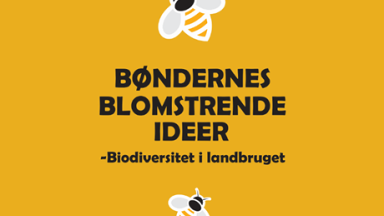 Bøndernes Blomstrende Ideer til at fremme biodiversiteten