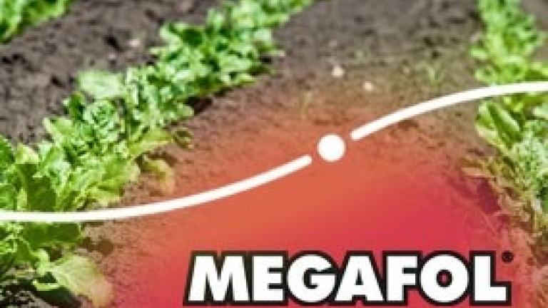 Megafol banner lille