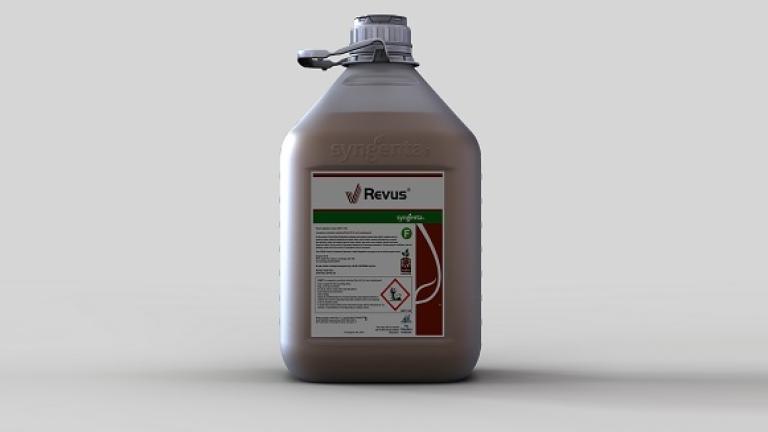 Revus