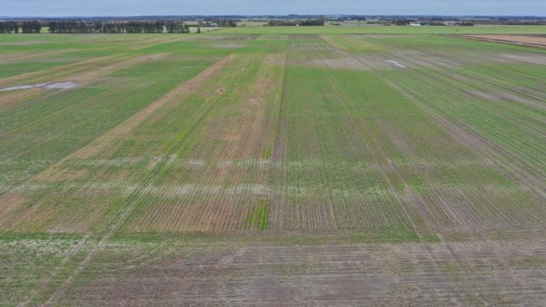GRObund Birkelse, Raps oktober 2023