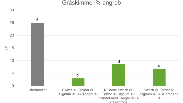 TAEGRO mod gråskimmel i jordbær Forsøg fra Borgeby 2023 viser, at TAEGRO har god effekt på gråskimmel og det er muligt at reducere dosering af kemiske produkter med tilsætning af TAEGRO til behandlingerne. 