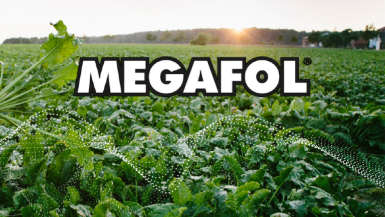 Megafol biostimulant