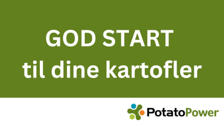 Effektiv kartoffelavl med råd fra Syngenta