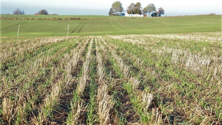 Hvad er Conservation Agriculture