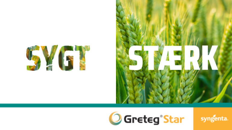 Greteg Star
