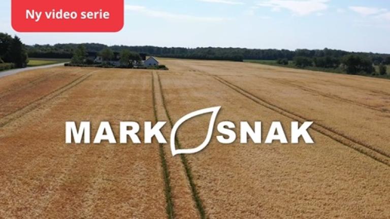 Mark Snak: Konkrete svar og dyrkningstips fra marken gennem hele sæsonen