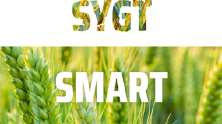 GRETEG Star - svampemiddel