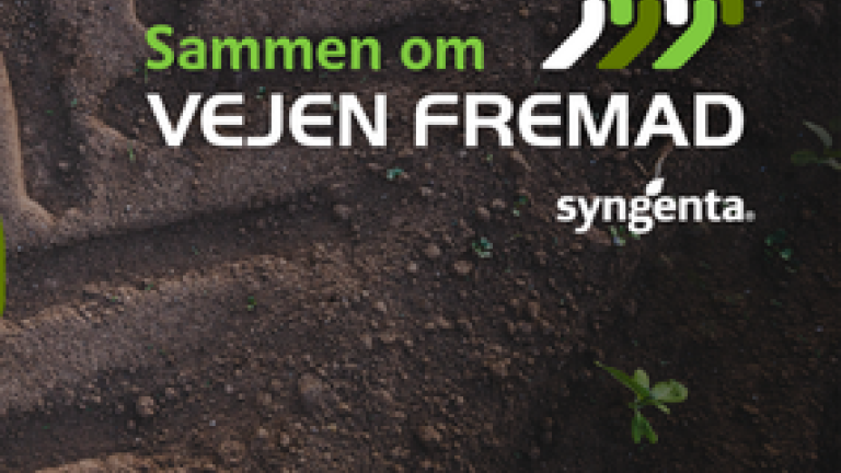 Sammen om Vejen Fremad